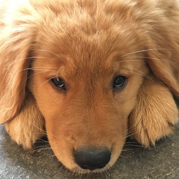 Meet your Posher, Karen - Picture 1 of 1